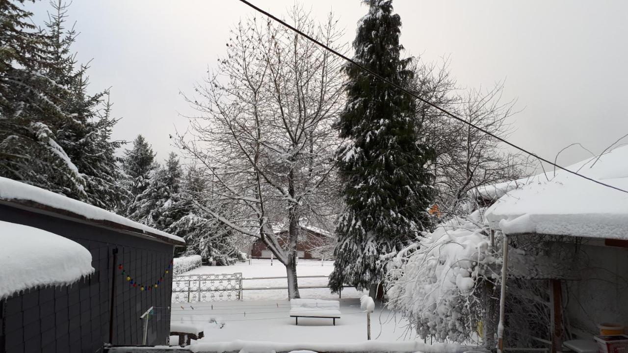Ferienwohnungen! Kleine Bungalows Mit Terrasse! Stockhausen-Illfurth ภายนอก รูปภาพ